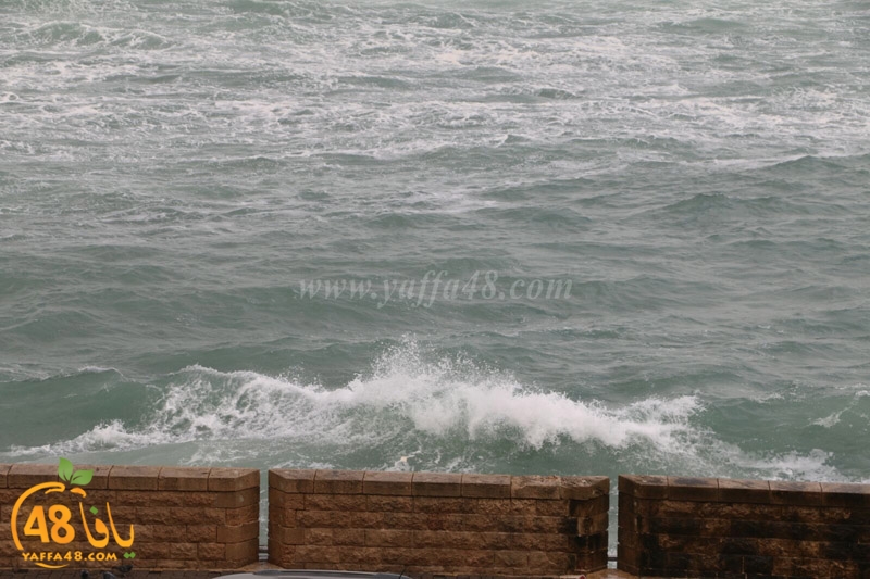 yaffa weahtera (8).jpg